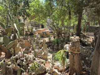 Dettagli del giardino