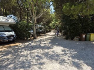 Vista viale
