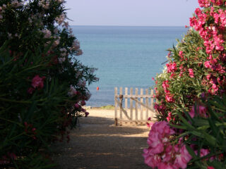 Accesso al mare del Camping