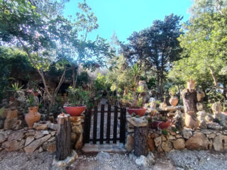 Dettagli del giardino