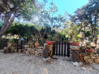 Dettagli del giardino