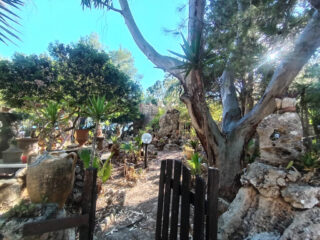 Dettagli del giardino