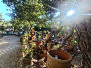 Dettagli del giardino