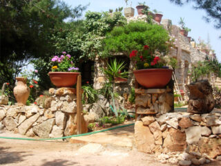 Vista di parte del giardino