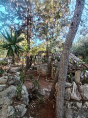 Dettagli del giardino