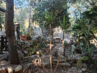 Dettagli del giardino