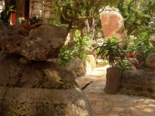 Dettaglio giardino