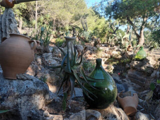 Dettagli del giardino