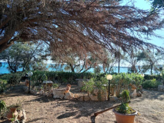 Dettagli del giardino con vista mare