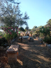 Dettagli del giardino