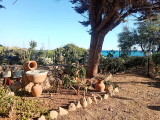 Dettagli del giardino con vista mare