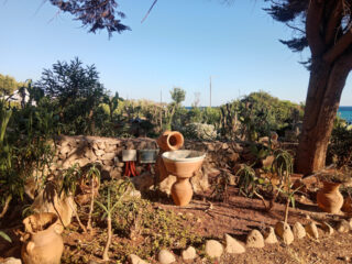 Dettagli del giardino