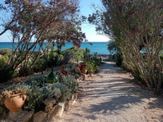 Viale del giardino con vista mare