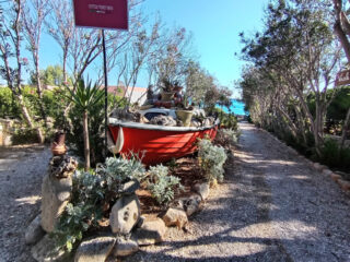 Viale del mare