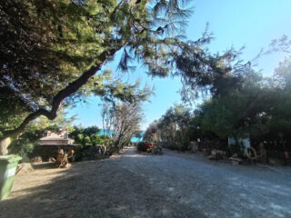 Viale del mare