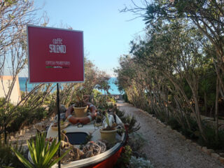 Viale del mare