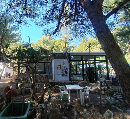 Vista esterna bar e market