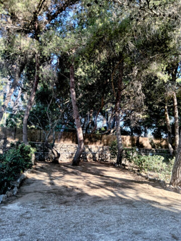 Vista piazzola