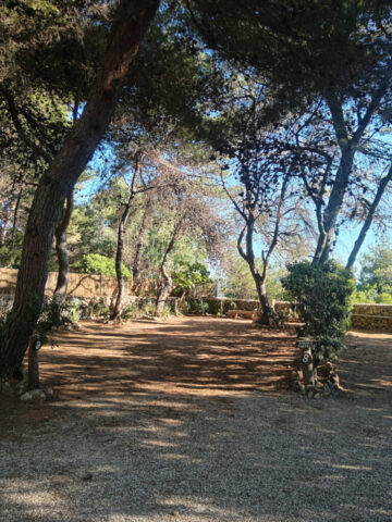 Vista piazzola